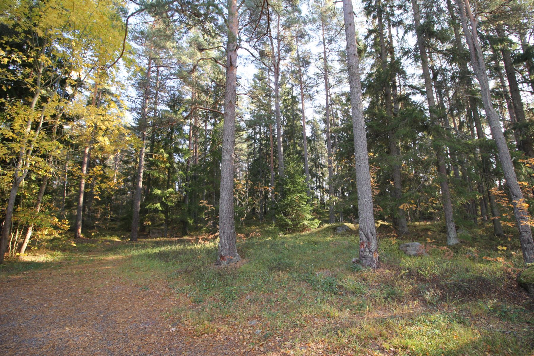 Agnevägen